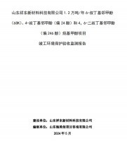 山東祥東新材料科技有限公司1.2萬噸/年6-叔丁基鄰甲(60K)、4-叔丁基鄰甲酚(偏 24 酚)和 4，6-二叔丁基鄰甲酚(偏 246 酚)烷基甲酚項目竣工環(huán)境保護驗收監(jiān)測報告